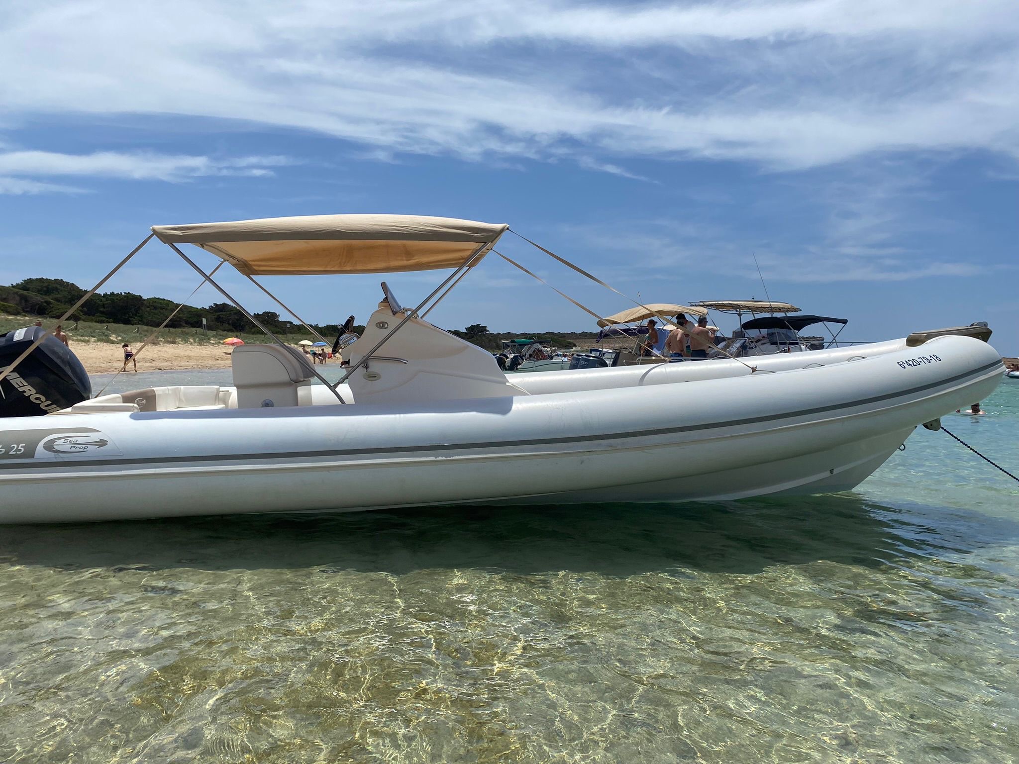 Calypso 2