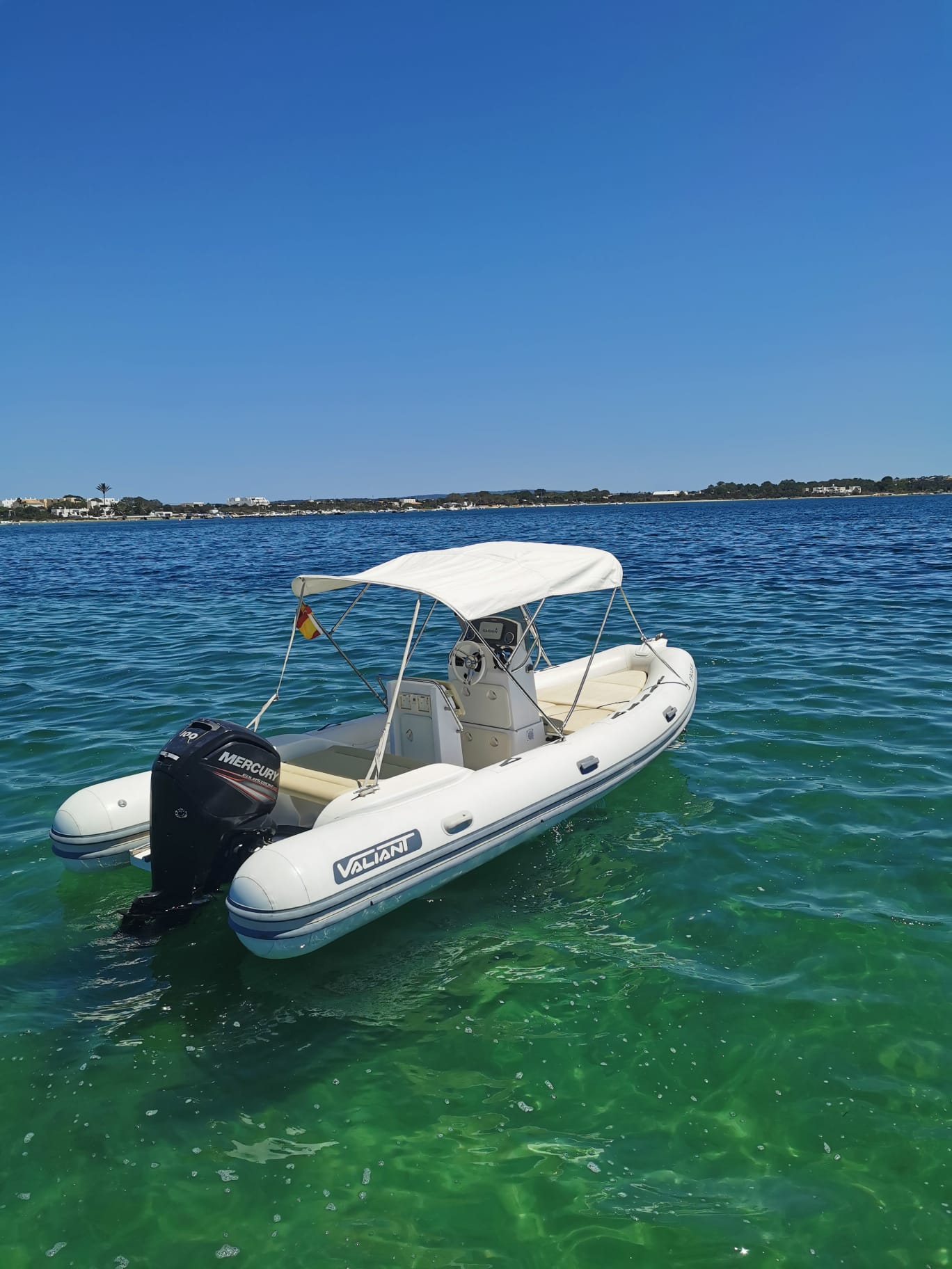 POLITA 5