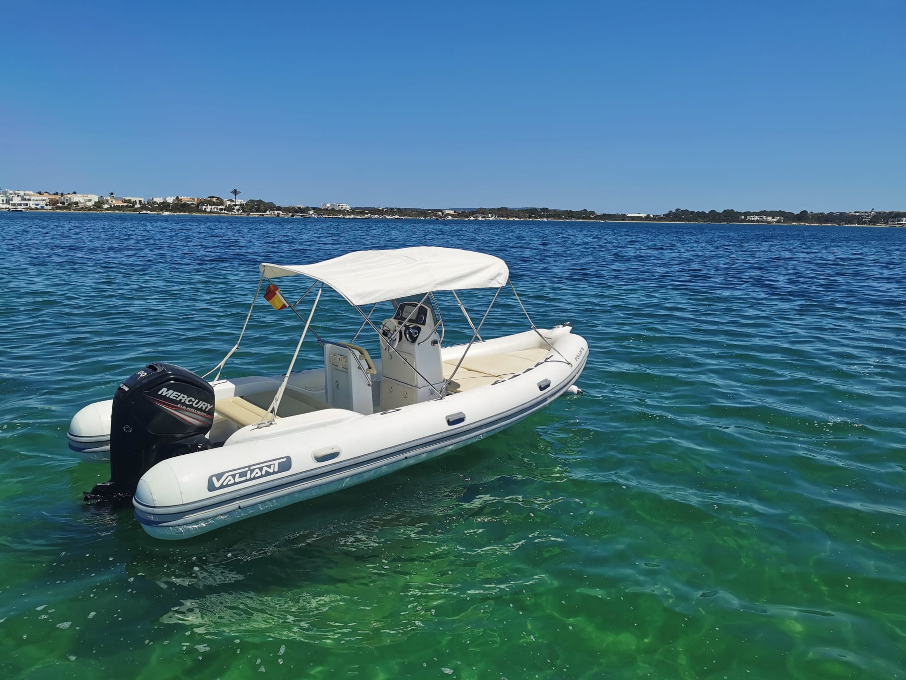 POLITA 4