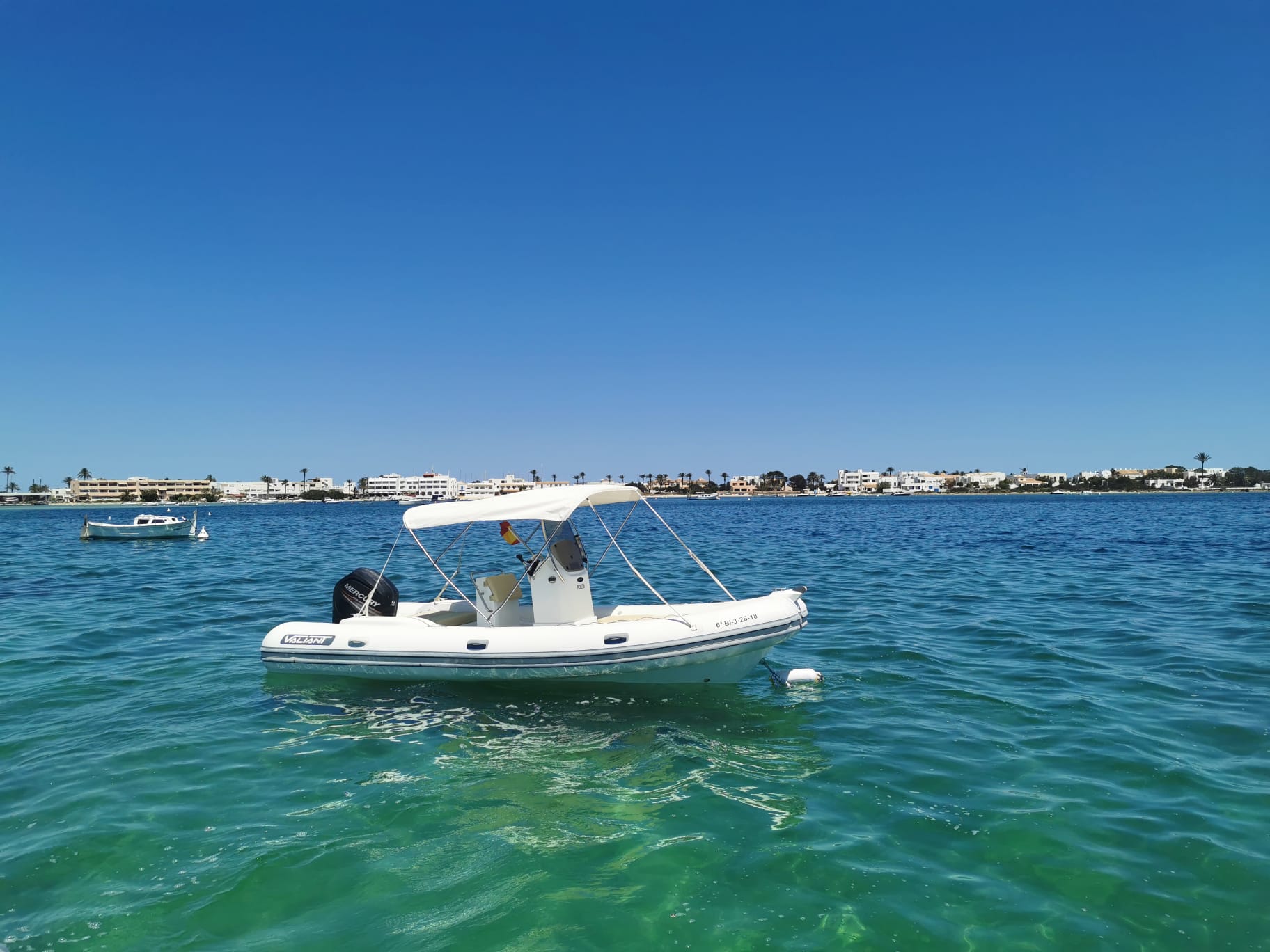 POLITA 3